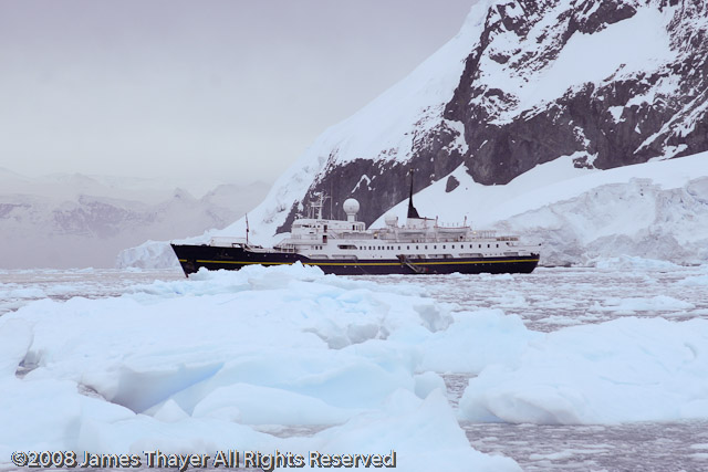 M/S Andrea in Neko Harbor