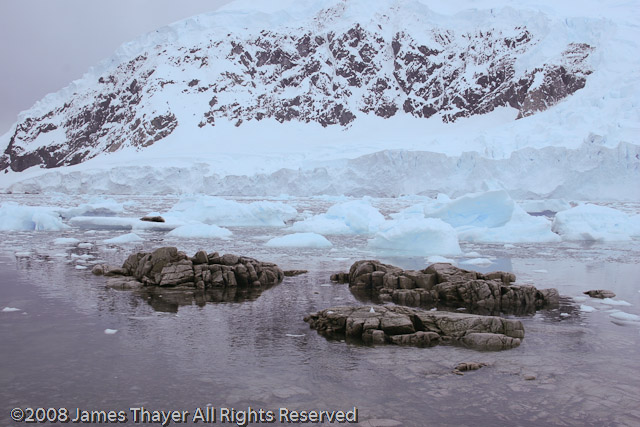 Rocks, glacier and a Weddell Seal