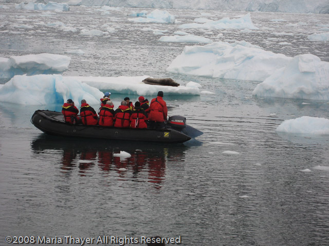 Zodiac goes in for a close look at a Weddell Seal