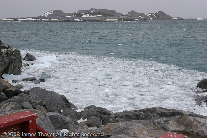 Brash Ice at Palmer Station