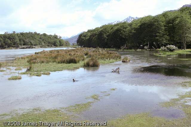 Parque Nacional Tierra del Fuego