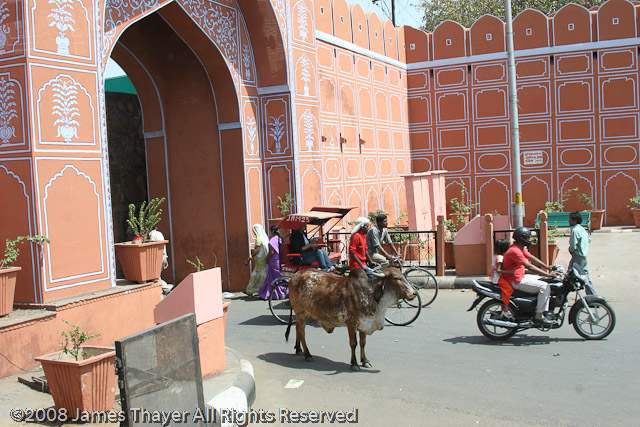 Gateway to the Pink City