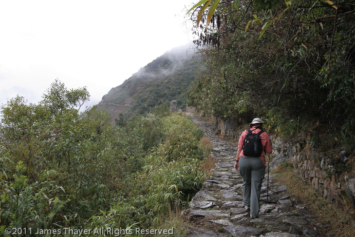 The Inca Trail heading toward Intipunku (The Sun Gate)