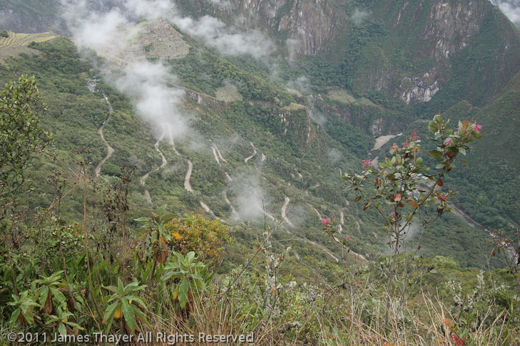 This is the road from Aguas Calientes (on the river) up to Machu Picchu (upper left).