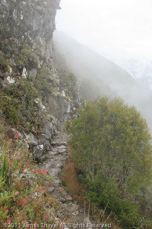 The Inca Trail heading toward Intipunku (The Sun Gate)