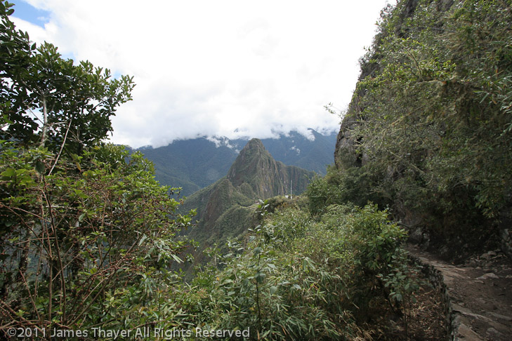 Looking at Wayna Picchu from the Inca Bridge trail.