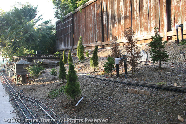 New Trees planted - June 2009