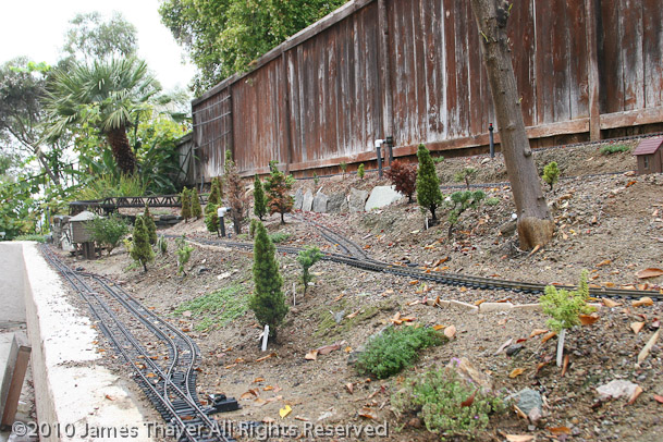 New Trees and Thyme planted - September 2010